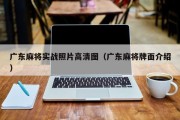 广东麻将实战照片高清图（广东麻将牌面介绍）