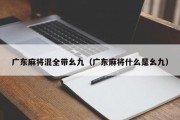 广东麻将混全带幺九（广东麻将什么是幺九）