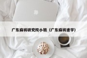 广东麻将研究院小初（广东麻将速学）