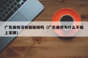 广东麻将没有碰碰胡吗（广东麻将为什么不碰上家牌）