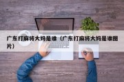 广东打麻将大妈是谁（广东打麻将大妈是谁图片）