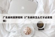 广东麻将赢牌视频（广东麻将怎么打才必赢视频）