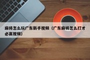 麻将怎么玩广东新手视频（广东麻将怎么打才必赢视频）