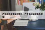 广东麻将最常胡牌图片（广东麻将胡牌最多牌型）