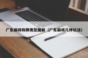 广东麻将和牌类型图解（广东麻将几种玩法）