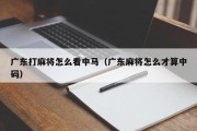 广东打麻将怎么看中马（广东麻将怎么才算中码）