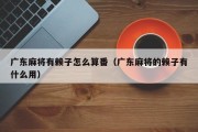 广东麻将有赖子怎么算番（广东麻将的赖子有什么用）