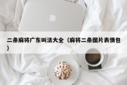 二条麻将广东叫法大全（麻将二条图片表情包）